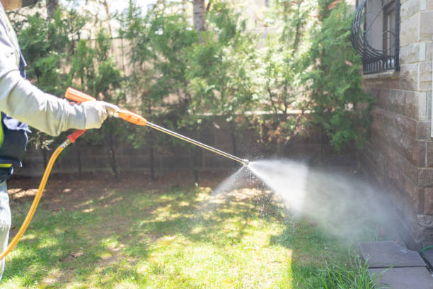 Best Spider Control Near Me  in Richwood, OH