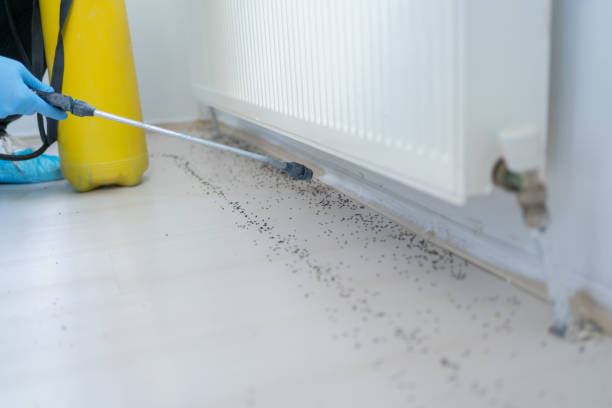 Pest Control for Restaurants in Richwood, OH