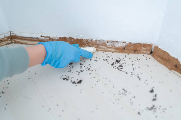 Best Pest Removal Services  in Richwood, OH