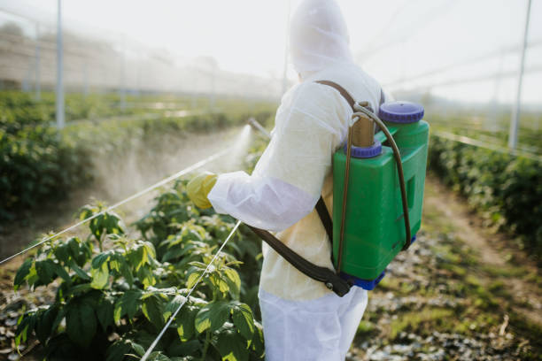 Best Emergency Pest Control  in Richwood, OH